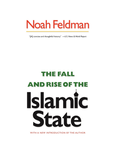 The Fall and Rise of The Islamic State